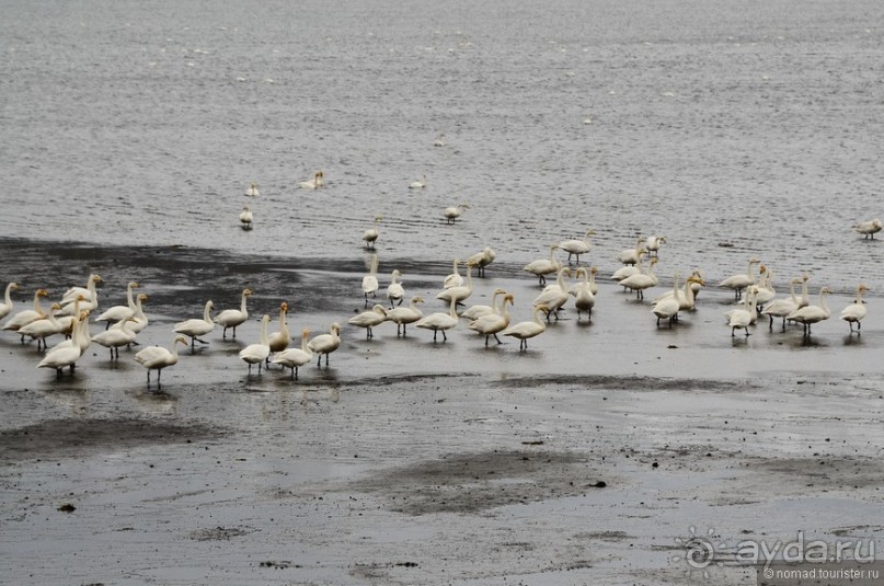 2226 километров по стране чудес. Исландия. Часть 5