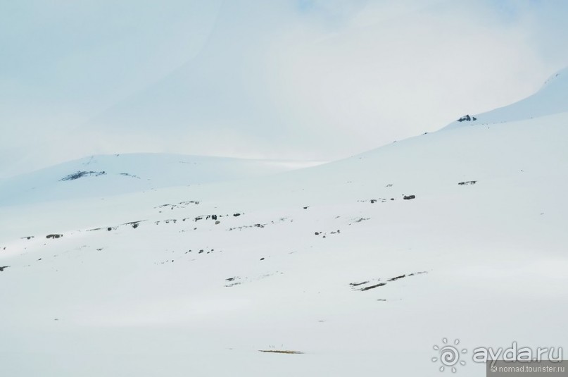 2226 километров по стране чудес. Исландия. Часть 5