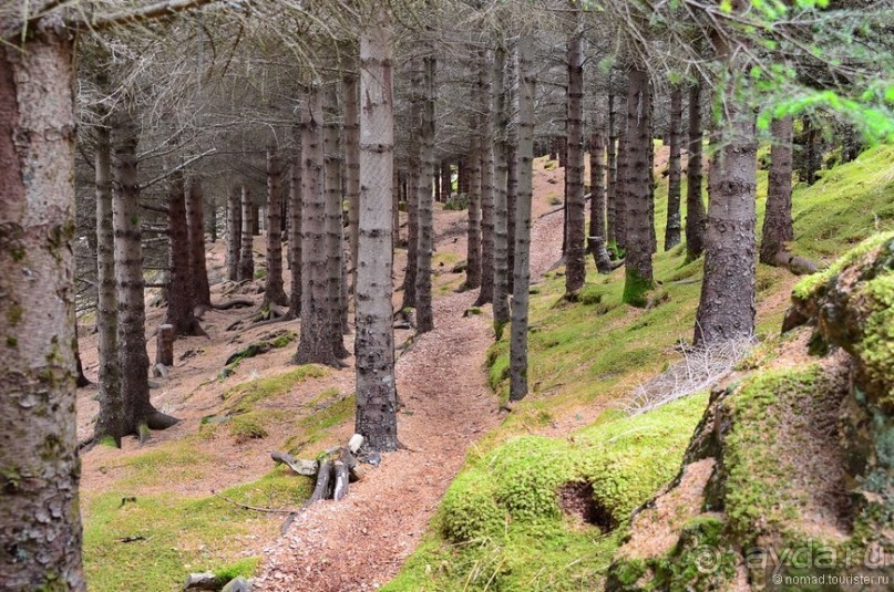 2226 километров по стране чудес. Исландия. Часть 5