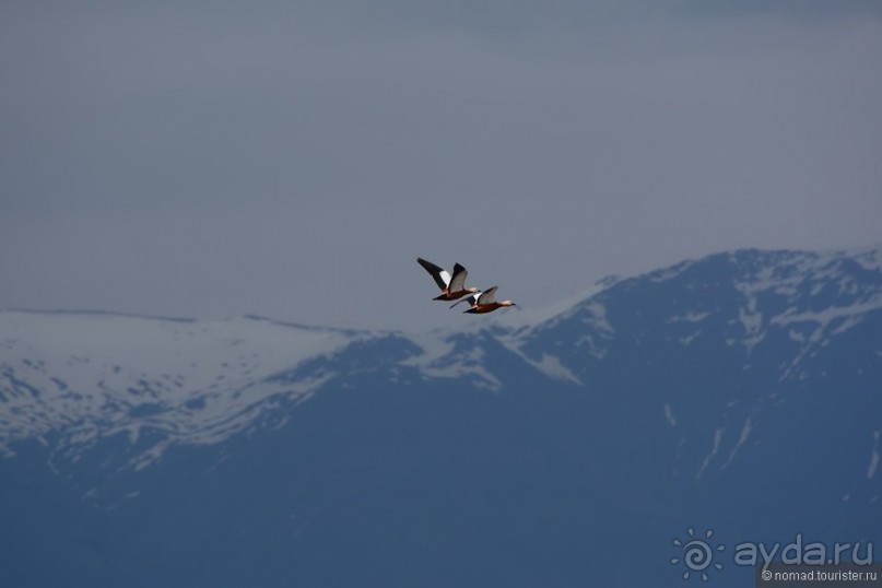 Страна хачкаров и алых маков. Часть 7