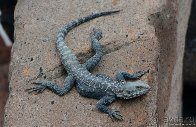 Страна хачкаров и алых маков. Часть 7