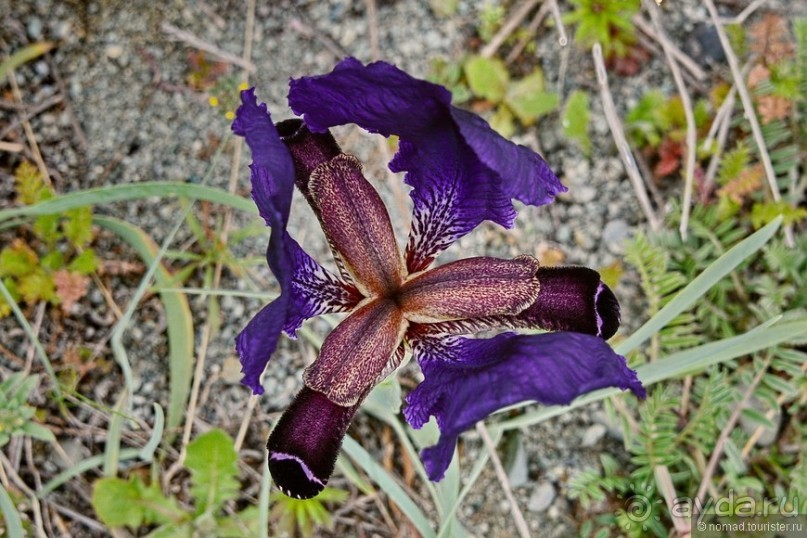 Страна хачкаров и алых маков. Часть 7