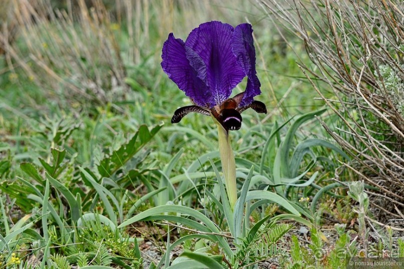 Страна хачкаров и алых маков. Часть 7