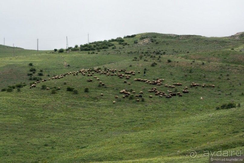 Страна хачкаров и алых маков. Часть 7