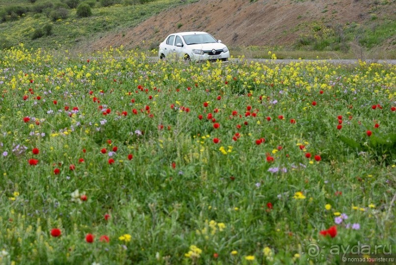 Страна хачкаров и алых маков. Часть 7