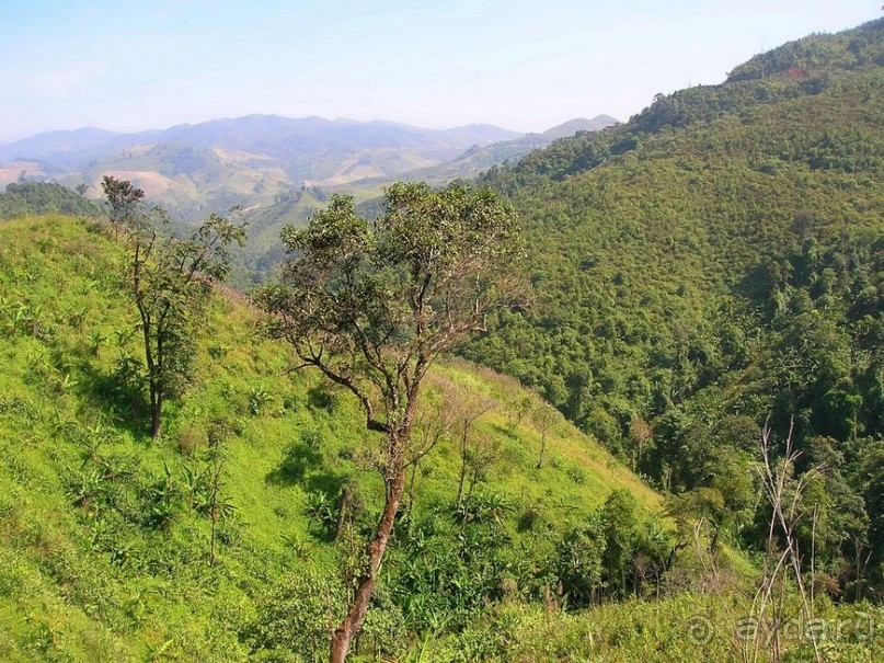 Страна миллионов САБАДИ. Часть 2