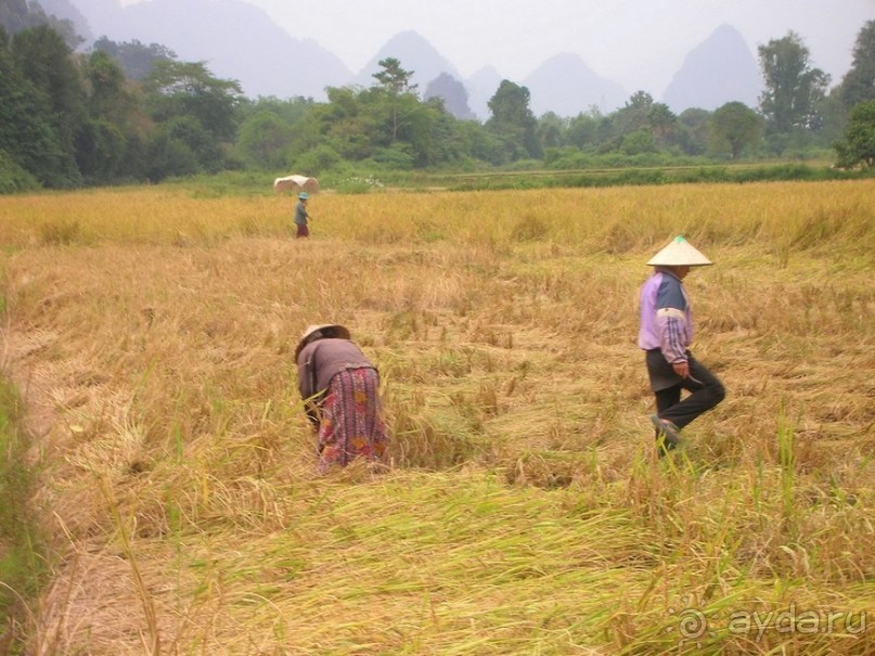 Страна миллионов САБАДИ. Часть 2