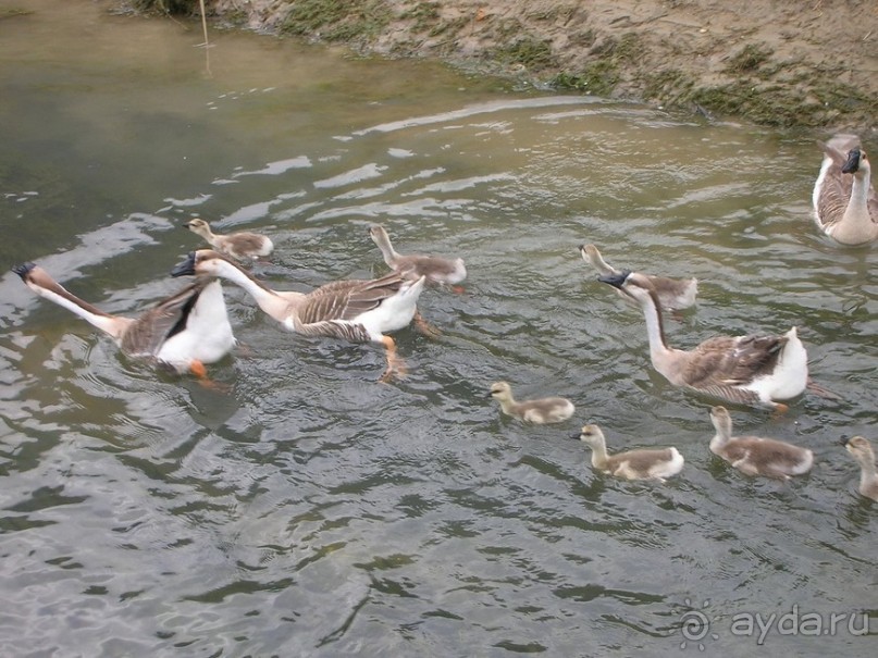 Страна миллионов САБАДИ. Часть 2