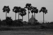 Из Мьянмы с любовью... Часть 2