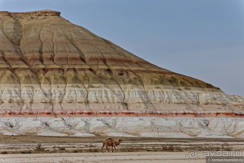 Экстаз № 3. Каспий-Актау-Бокты