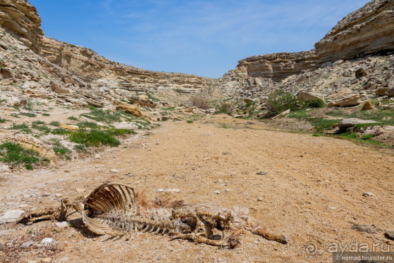 Экстаз № 3. Каспий-Актау-Бокты