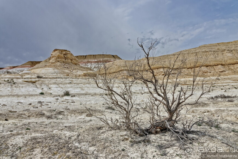 Экстаз № 3. Каспий-Актау-Бокты