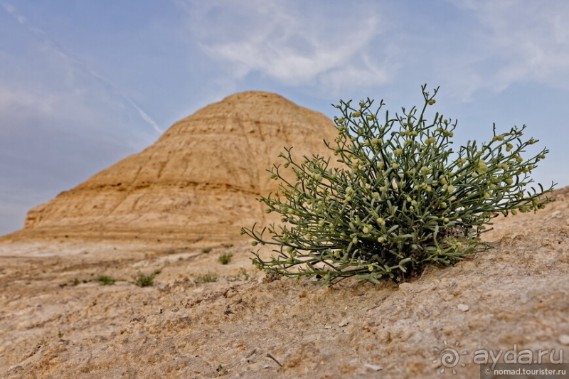 Экстаз № 3. Каспий-Актау-Бокты