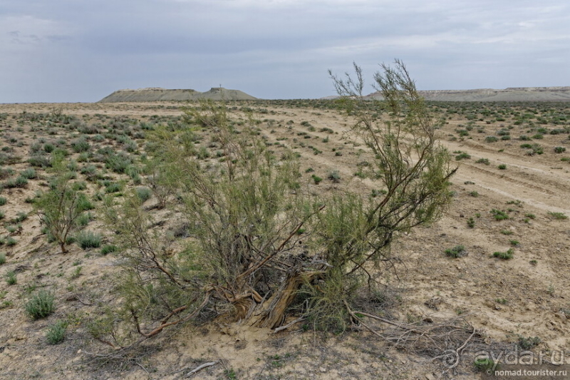 Экстаз № 3. Каспий-Актау-Бокты