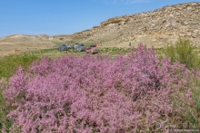 Экстаз № 3. Каспий-Актау-Бокты