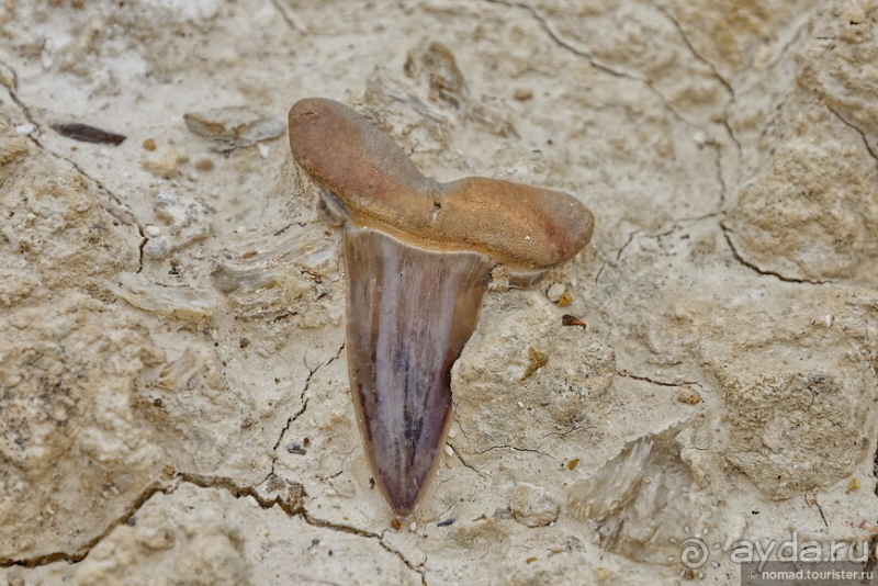 Экстаз № 3. Каспий-Актау-Бокты