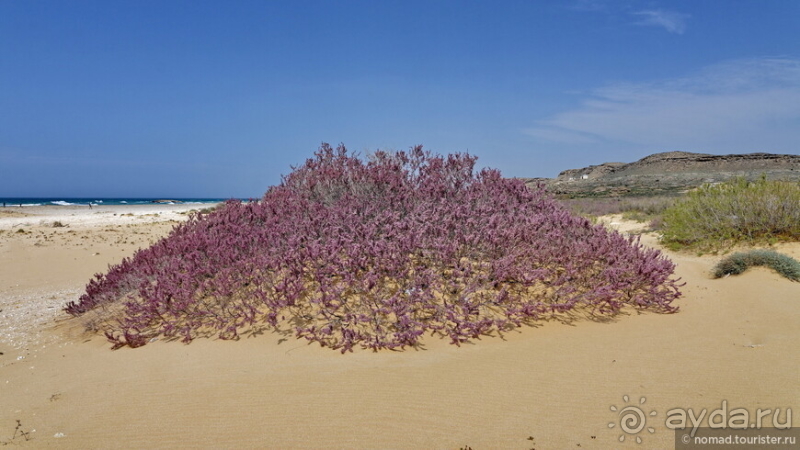 Экстаз № 3. Каспий-Актау-Бокты