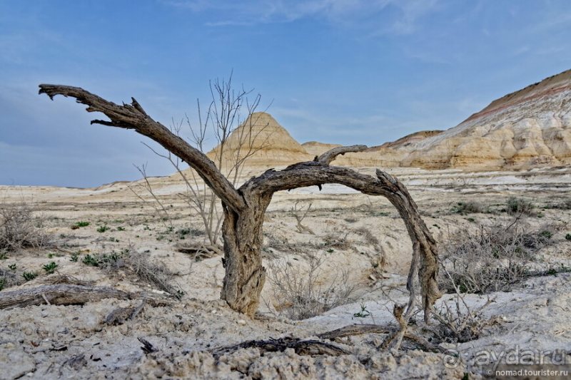 Экстаз № 3. Каспий-Актау-Бокты