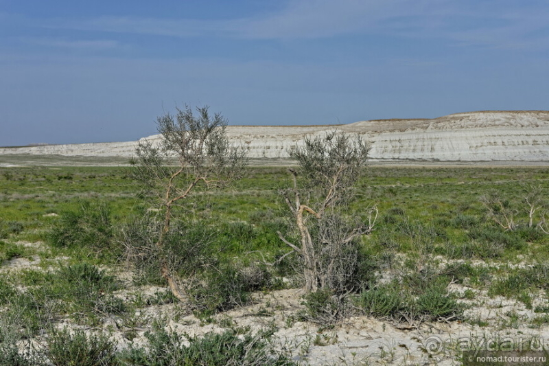 Экстаз № 3. Каспий-Актау-Бокты