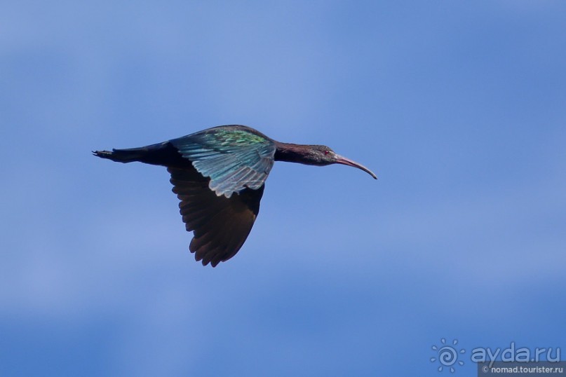 Bolivia te espera! Часть 5