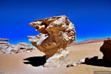 Bolivia te espera! Часть 5