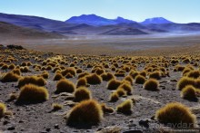 Bolivia te espera! Часть 5