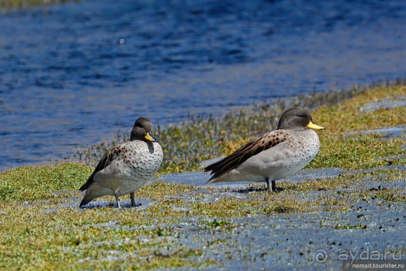 Bolivia te espera! Часть 5
