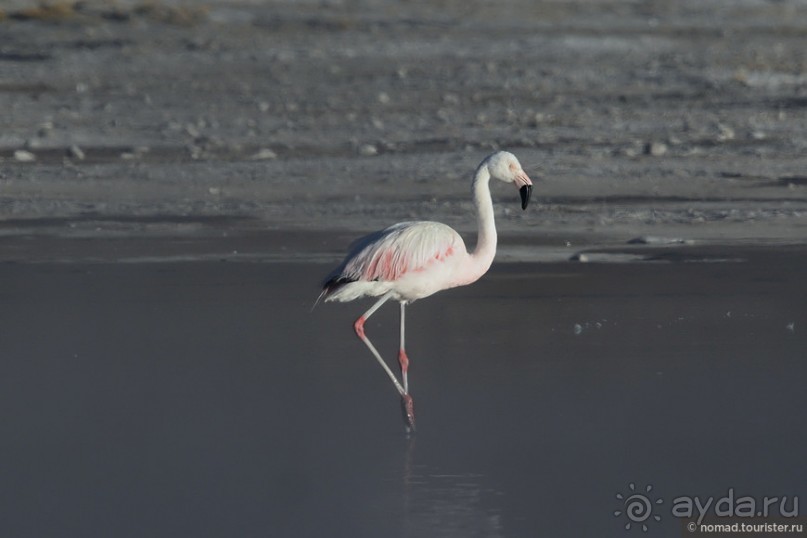 Bolivia te espera! Часть 5