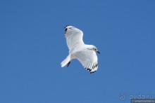 Bolivia te espera! Часть 5