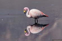 Bolivia te espera! Часть 5