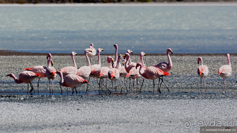 Bolivia te espera! Часть 5