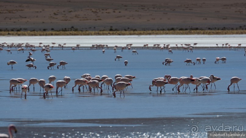 Bolivia te espera! Часть 5