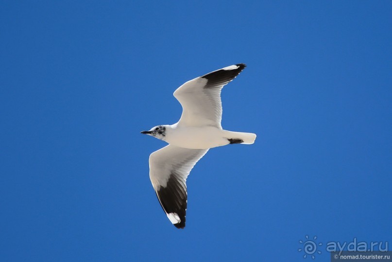 Bolivia te espera! Часть 5