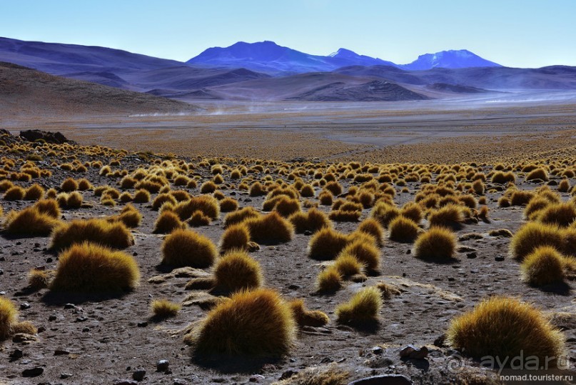 Bolivia te espera! Часть 5