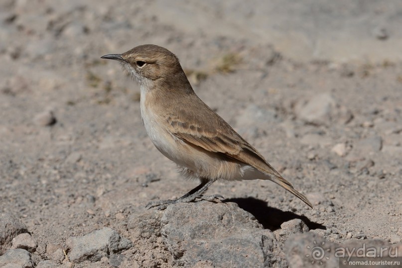 Bolivia te espera! Часть 5