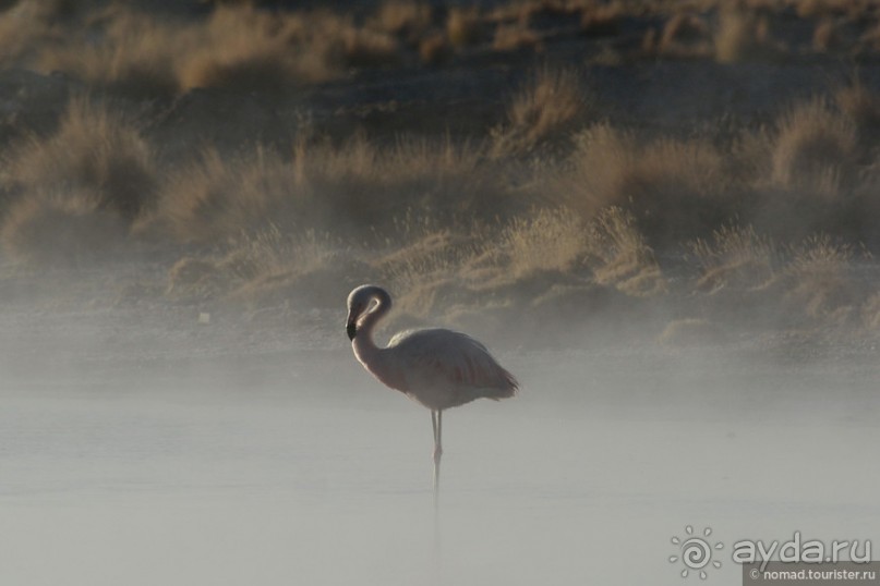 Bolivia te espera! Часть 5
