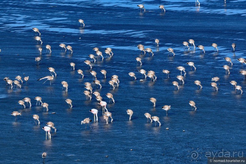Bolivia te espera! Часть 5