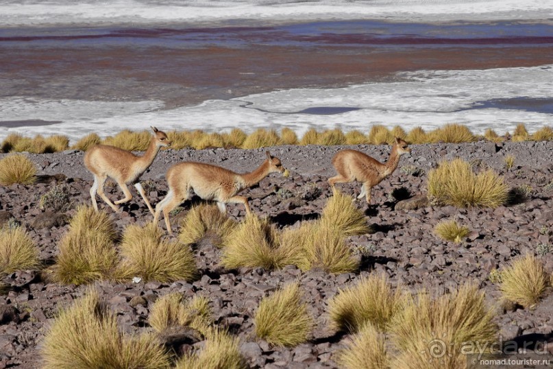 Bolivia te espera! Часть 5