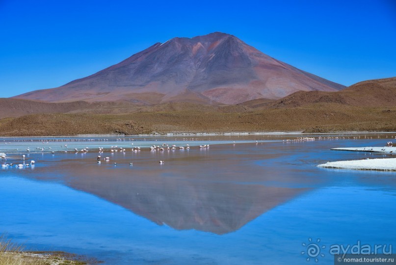 Bolivia te espera! Часть 5