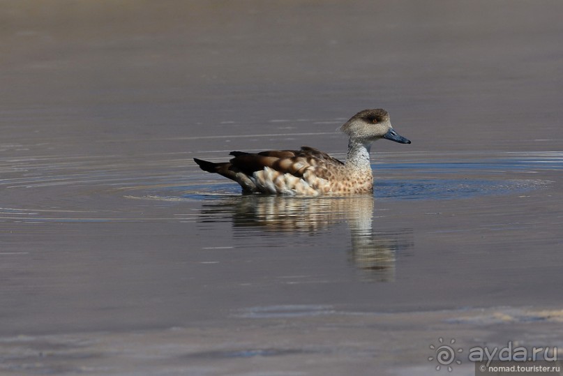 Bolivia te espera! Часть 5