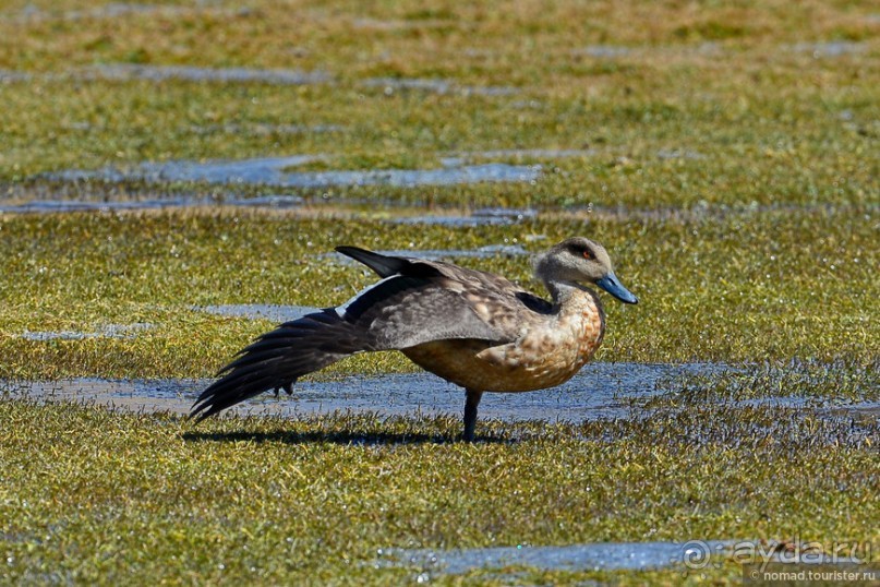 Bolivia te espera! Часть 5