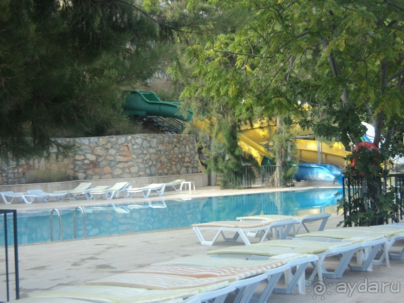 зеленая сказка.