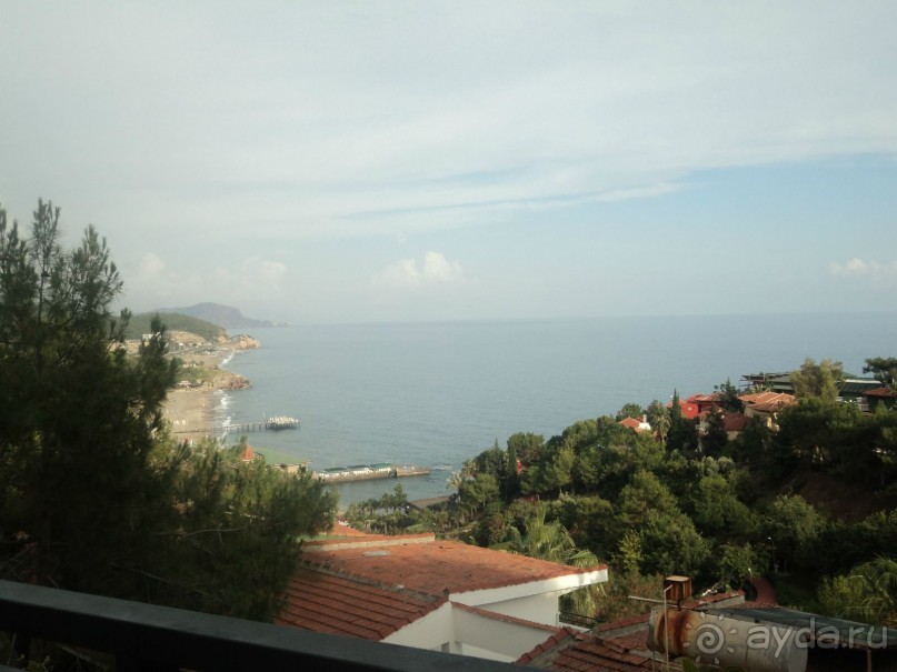 зеленая сказка.