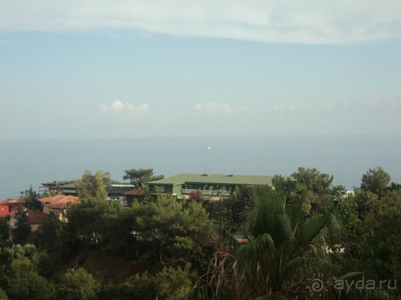 зеленая сказка.