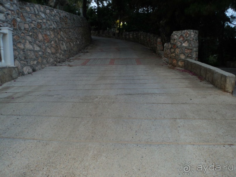 зеленая сказка.