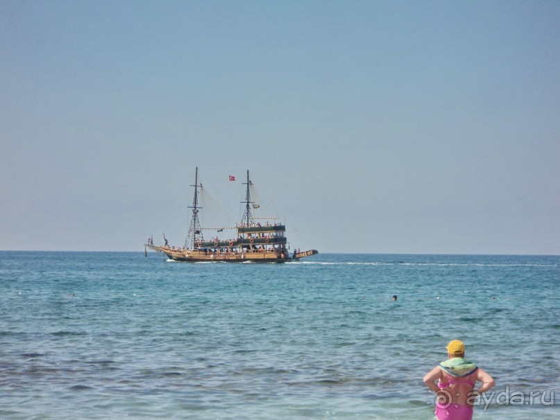 зеленая сказка.