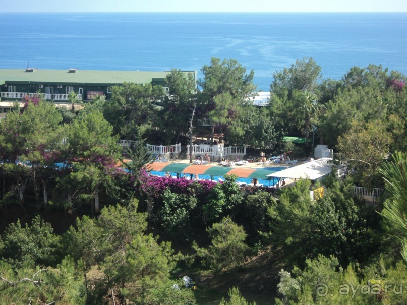 зеленая сказка.