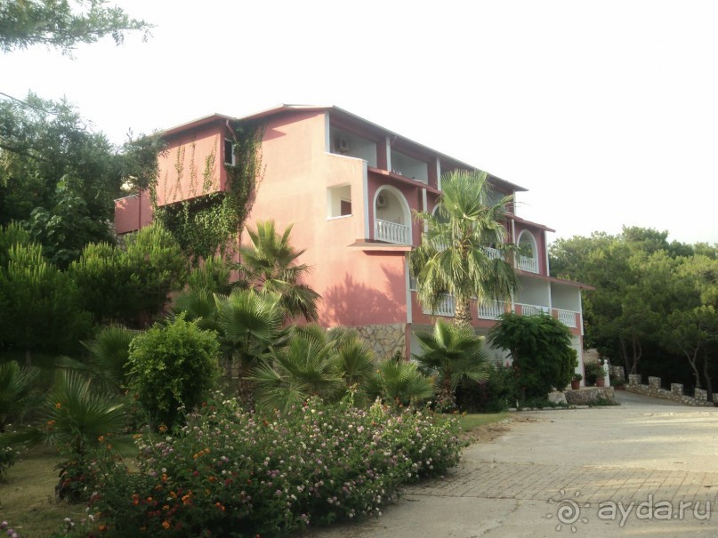 зеленая сказка.