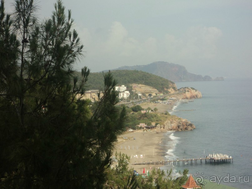 зеленая сказка.