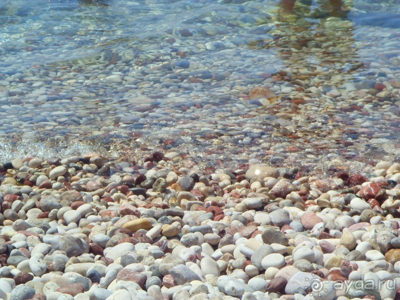 фото Garni Hotel Meduza